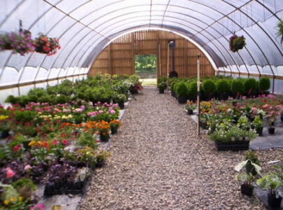 Greenhouse with seasonal plants