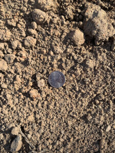 Top Soil